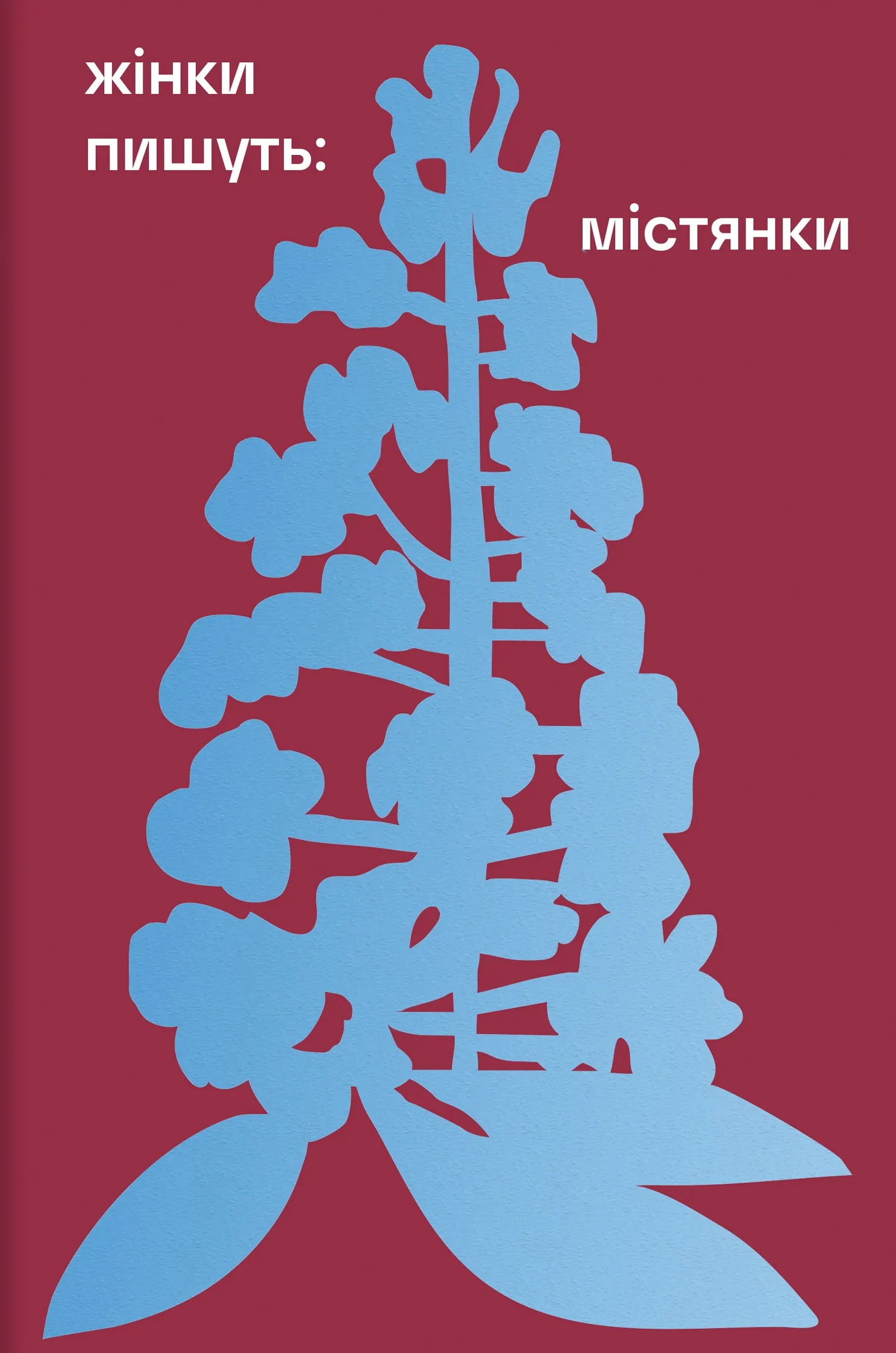 Обкладинка книги «Жінки пишуть: містянки» — Любов Відута, Анастасія Євдокимова