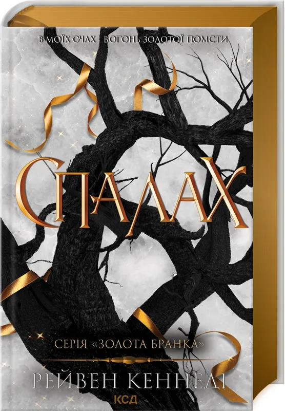 Обкладинка книги «Спалах. Книга 3» — Рейвен Кеннеді