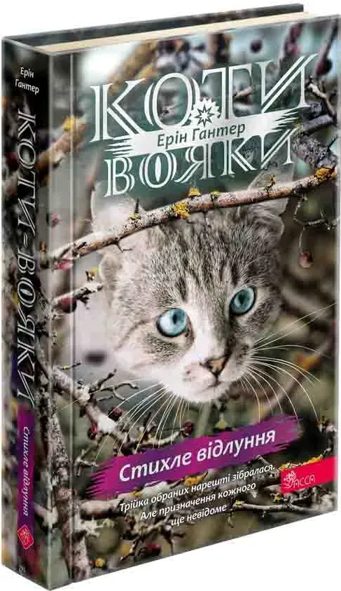 Книга піджанру Фантастика для підлітків
