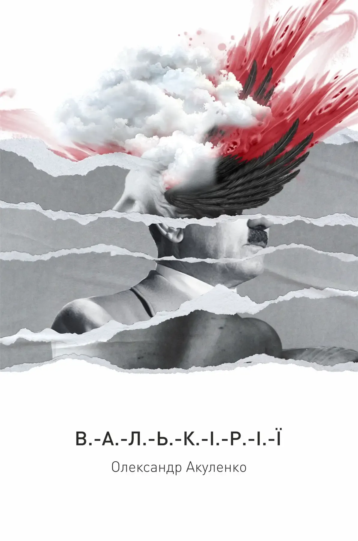 Обкладинка книги «Валькірії» — Олександр Акуленко