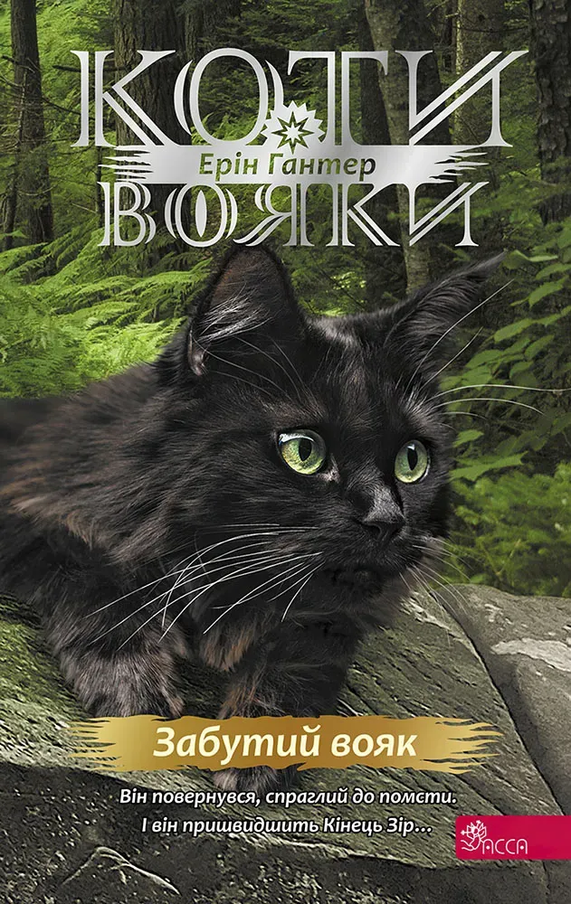 Книга піджанру Фентезі для підлітків