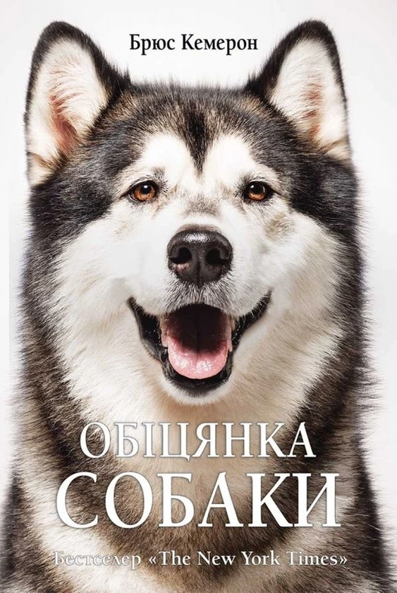Обкладинка книги «Обіцянка собаки. Книга 3» — Брюс Кемерон